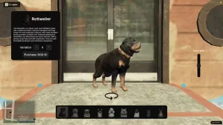 Electus Pets Leveling & Breeding System screenshot 3